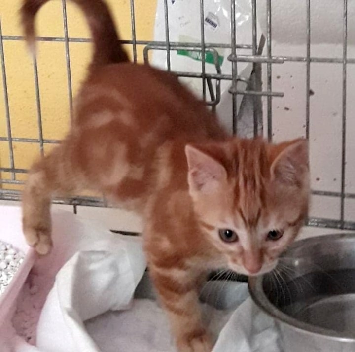 Popeline juillet 2019