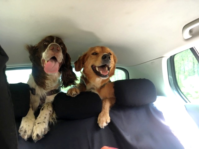 Pagnol 2 juillet 2020